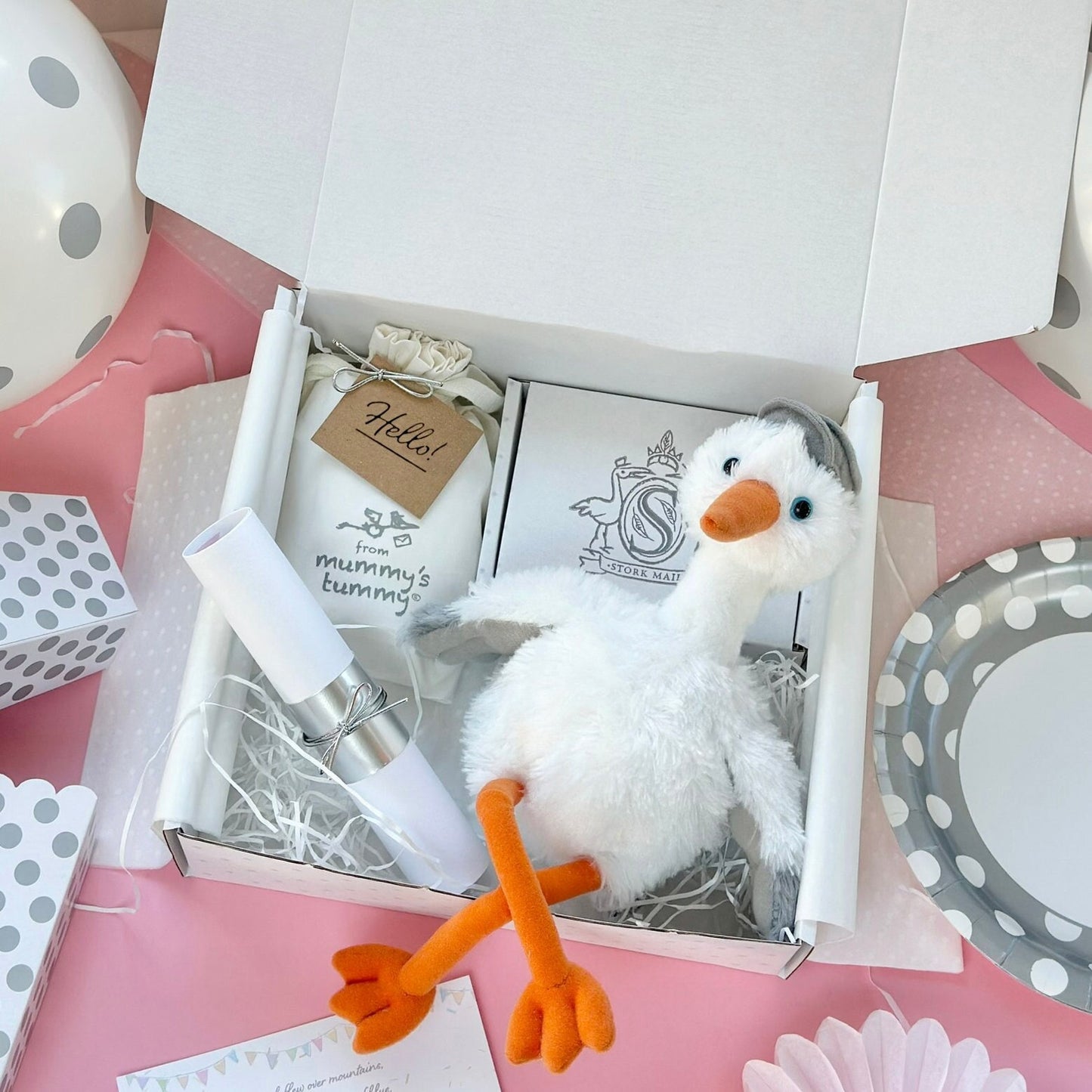 BIG SISTER Announcement Gift Set